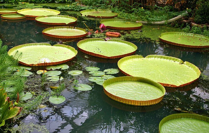 The Botanical Garden of Aarhus