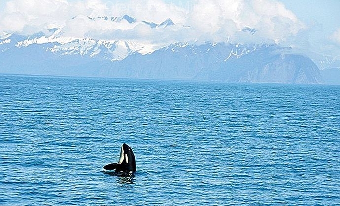 Kenai Fjords National Park