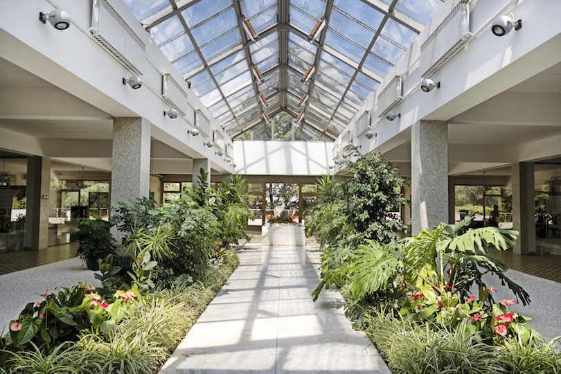 Florilor House