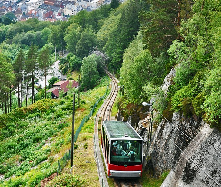 Muntele Fløyen (Fløyfjell)