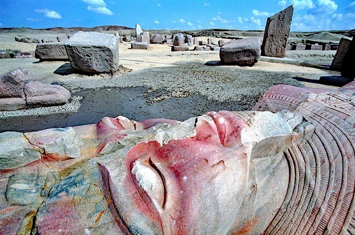 One day trip to Tanis