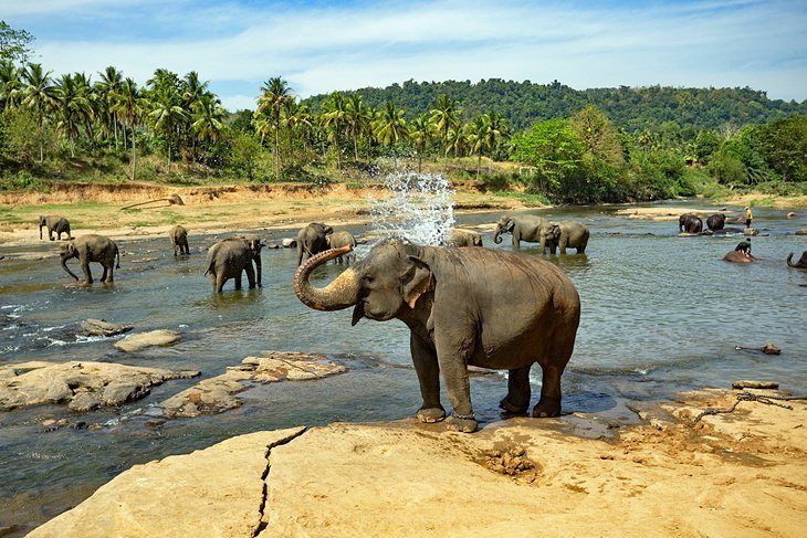 National Zoological Garden of Sri Lanka