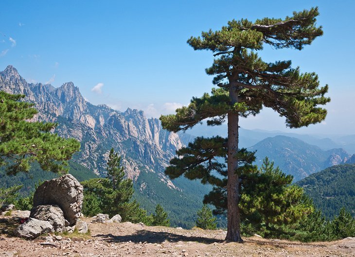 Bavella Colne