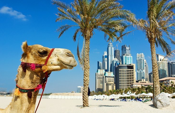 Enjoy the Sun at Jumeirah Beach