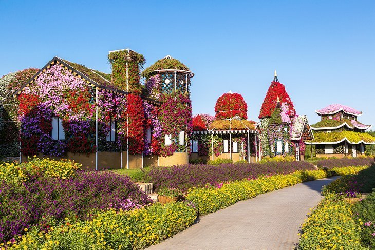 Walk through the wonderful colorful garden of Dubai