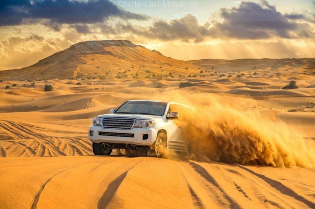 Safari in desert