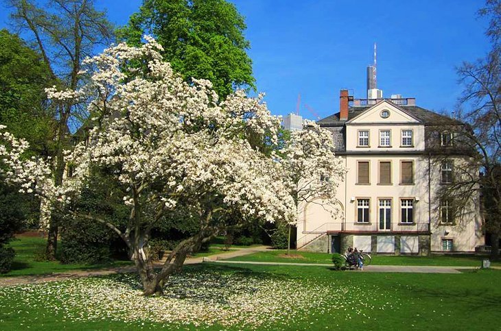 Museum district: Museumsufer