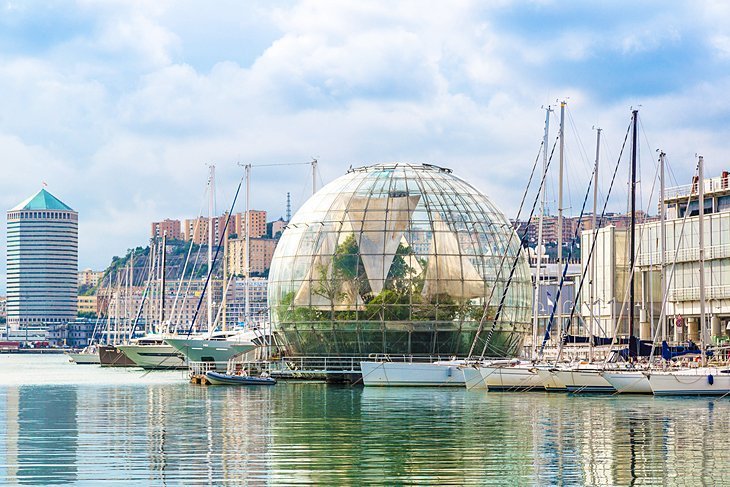 Aquarium of Genoa (ACVARIU)