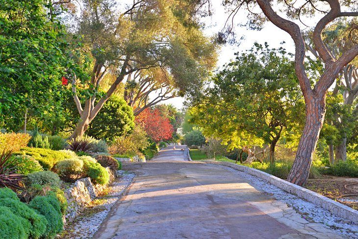 Alameda: Botanical gardens of Gibraltar