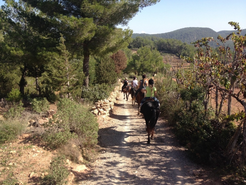 Ibiza Horse Valley
