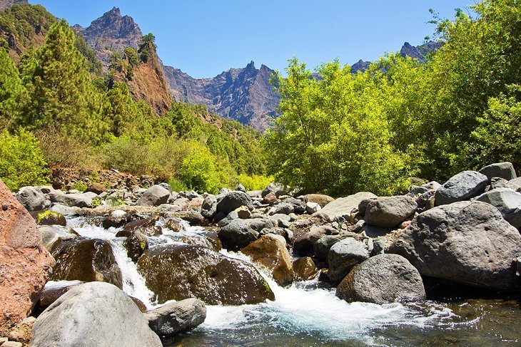 Caldera Taburiente National Park, at the palm