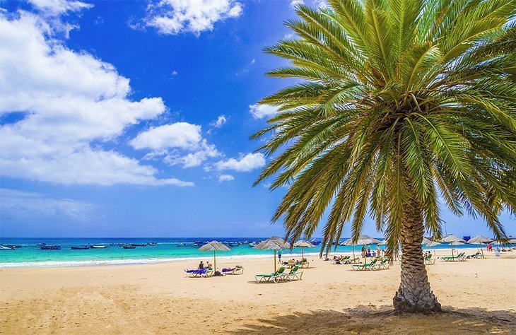 The beaches in Tenerife