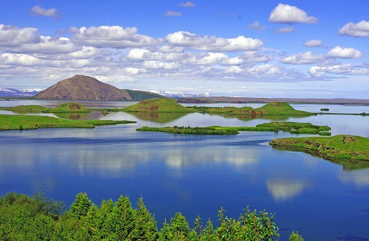 Bird observation at Lake Myvatn and Nature Reserve