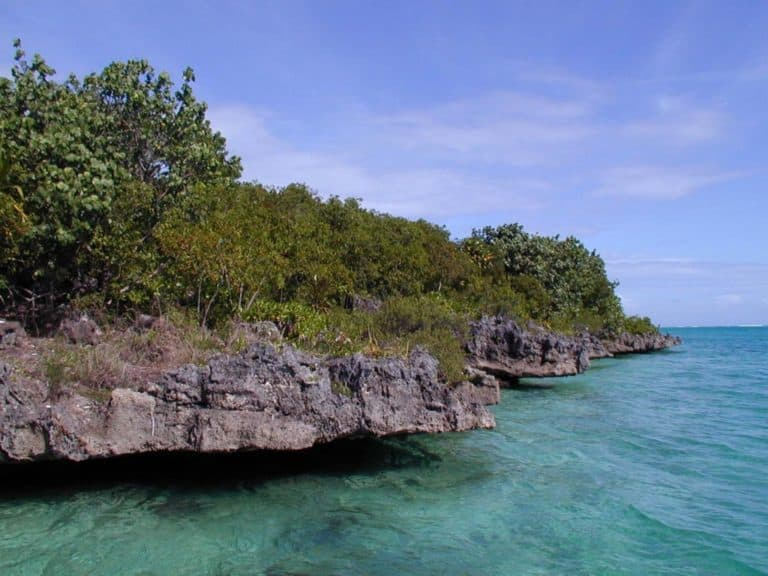 Isle aux egrettes (Insula Egretei)