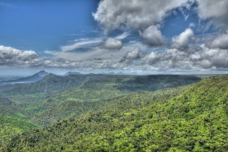 The Black River Gorge National Park