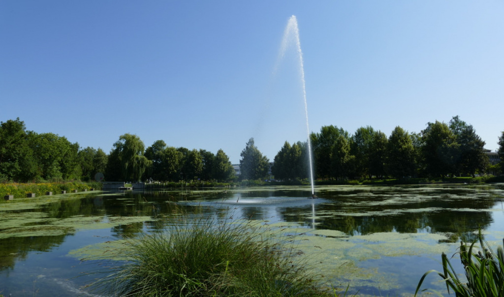 Stadtpark New World
