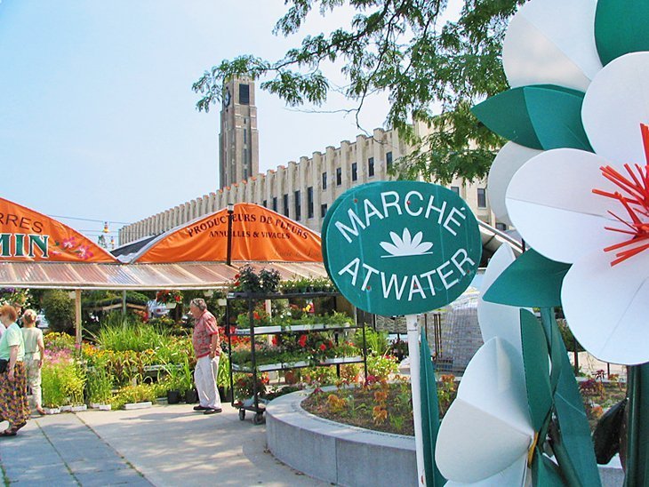 Buy at Atwater and Jean Talon markets