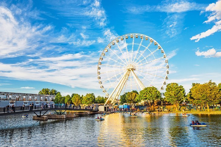 Explore Old Port (Vieux-Port)