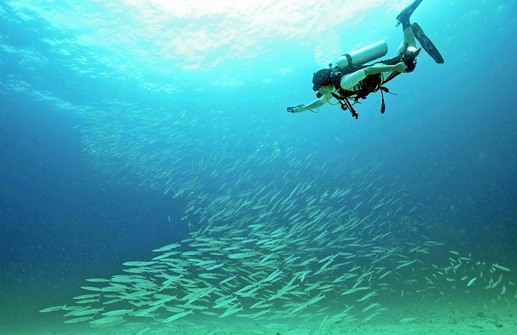 Diving and snorkeling