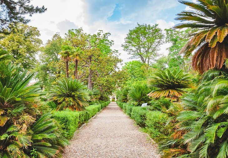 Botanical garden (Botany Gradina)