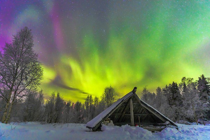 Hunting the boreal aurora
