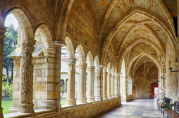 Our Lady of the Assumption Cathedrala