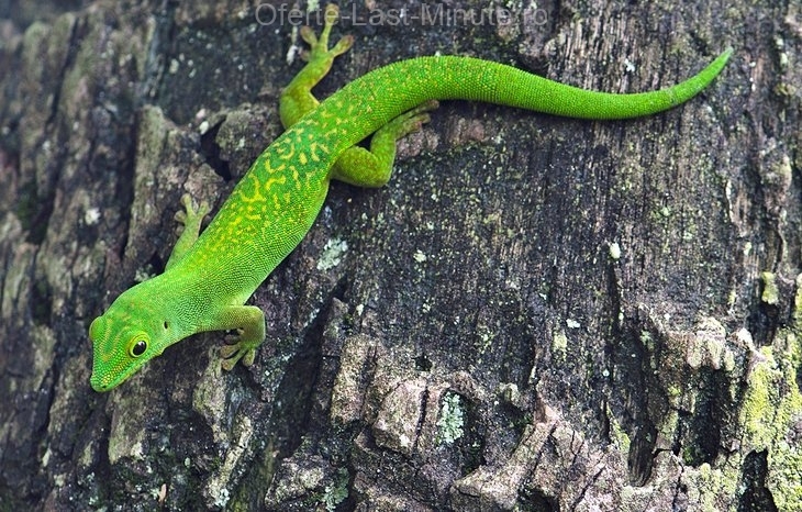 Arid island island reserve natural