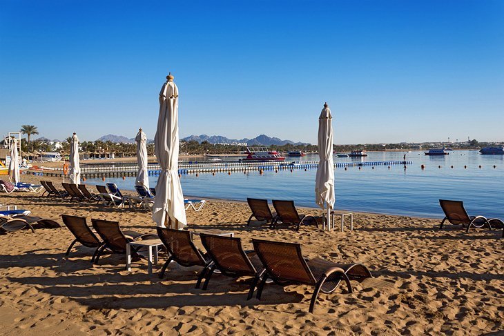 Enjoy the Sun at Naama Bay