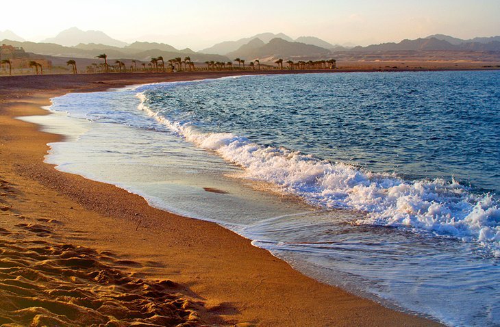 Discover the NABQ Protective Natural Reserve