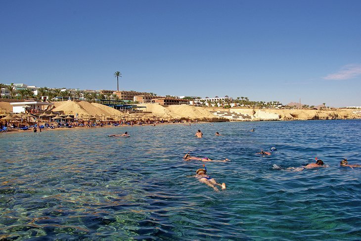 Relax on the beach in Shark \ 'S Bay