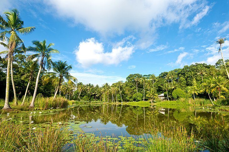 Tile Island (Insula Granite)