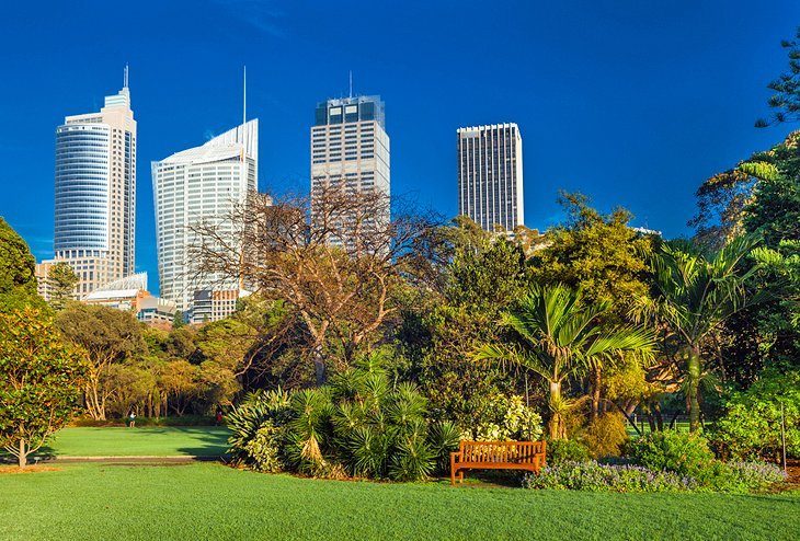 Smell the roses at the Royal Botanical Garden Sydney