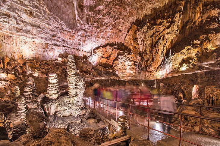 Explore Gulotta Gigante
