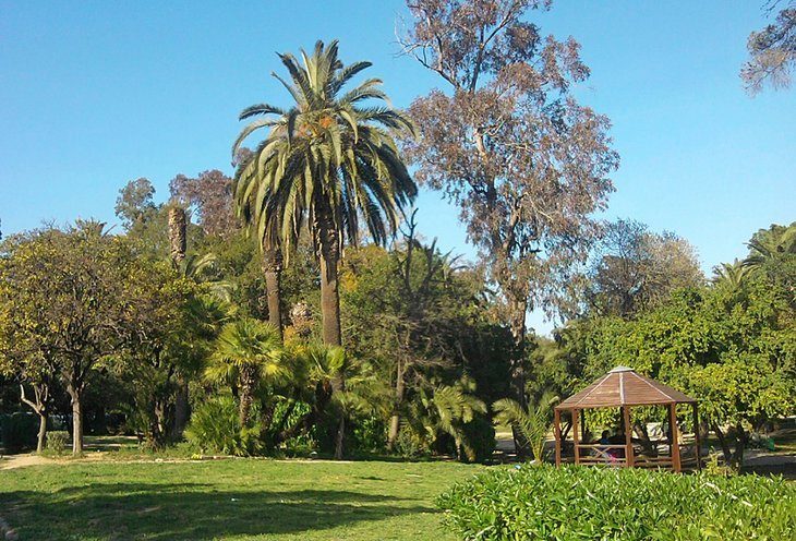 Park du Belvédère and Museum of Modern Art