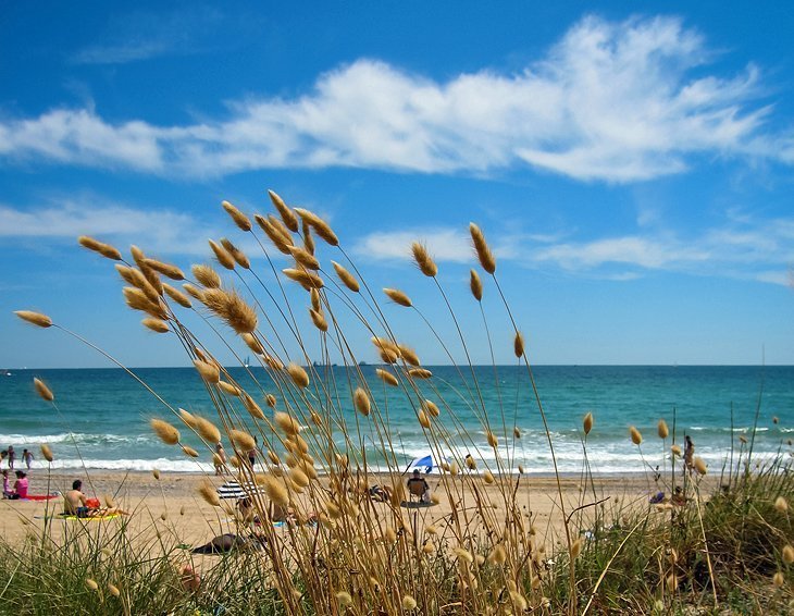 Spend a day at Playa del Saler