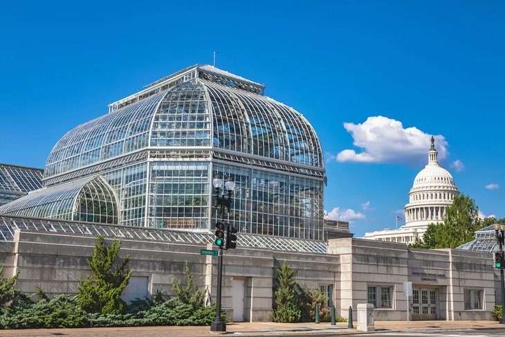 The US Botanical Garden