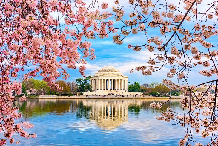 The Jefferson Memorial and the Tidal Basin