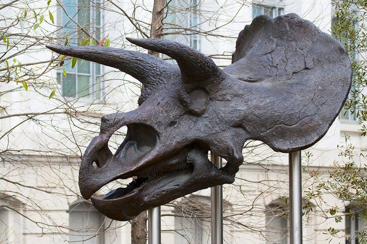 National Museum of Natural History