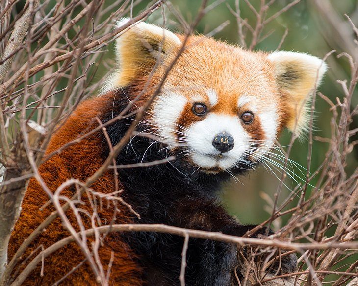 National Zoological Park